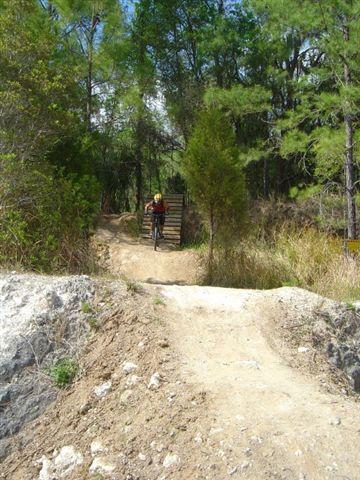 A mountain biker riding along a dirt trail surrounded by trees, approaching a wooden ramp in a forested area. Santos mountain bike trail.
