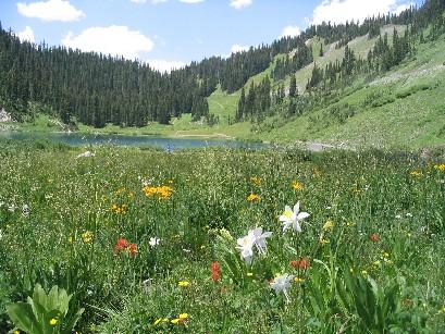 A vibrant meadow filled with colorful wildflowers in the foreground, leading to a serene blue lake surrounded by lush green hills and evergreen trees under a partly cloudy sky. Trail 401 mountain bike trail.