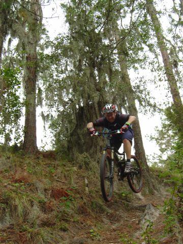 A mountain biker in a helmet performs a jump on a dirt trail surrounded by tall trees and greenery. The biker is captured mid-air, showcasing the action and thrill of mountain biking in a natural setting. Balm Boyette Scrub Preserve mountain bike trail.
