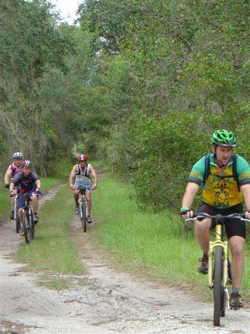 A group of four cyclists riding mountain bikes along a dirt path surrounded by greenery. The trail is flanked by trees and shrubs, indicating a natural outdoor setting. Balm Boyette Scrub Preserve mountain bike trail.