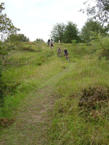 Mountain bikers navigating a grassy trail through a hilly landscape, surrounded by trees and vegetation. Balm Boyette Scrub Preserve mountain bike trail.