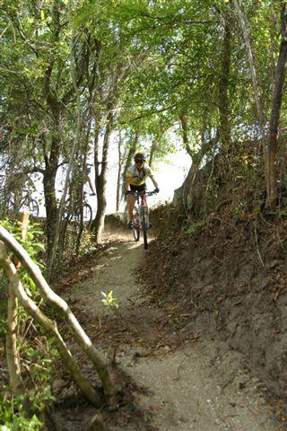 A mountain biker riding along a narrow dirt trail surrounded by trees and greenery. The path winds through the forest, showcasing a vibrant natural setting. Balm Boyette Scrub Preserve mountain bike trail.