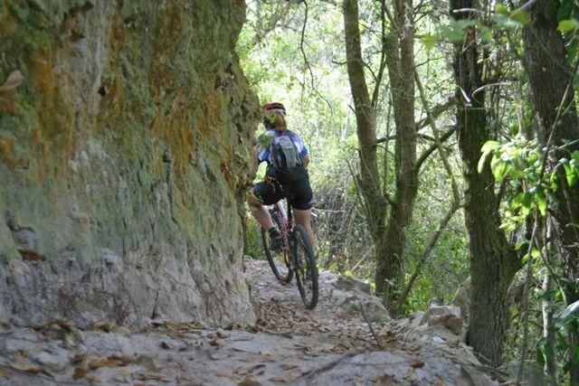 A cyclist navigating a narrow, rocky trail surrounded by dense trees and foliage, with sunlight filtering through the leaves. The cyclist is seen from behind, wearing a helmet and carrying a backpack, as they maneuver close to a rocky outcrop. Balm Boyette Scrub Preserve mountain bike trail.