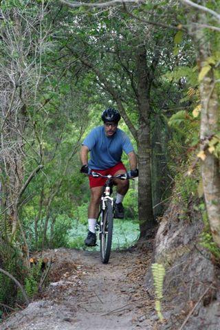 A man riding a mountain bike on a narrow dirt trail surrounded by trees and foliage. He is wearing a blue shirt, red shorts, and a helmet, focusing on the path ahead. Balm Boyette Scrub Preserve mountain bike trail.