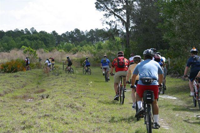 A group of cyclists riding along a dirt trail in a natural setting, surrounded by trees and tall grass. The scene captures the outdoor environment and the participants dressed in various cycling gear, enjoying a recreational biking experience. Balm Boyette Scrub Preserve mountain bike trail.