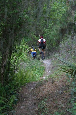 Two mountain bikers riding along a narrow, winding trail surrounded by lush greenery and trees. The path is uneven, with patches of dirt and vegetation on either side. Balm Boyette Scrub Preserve mountain bike trail.