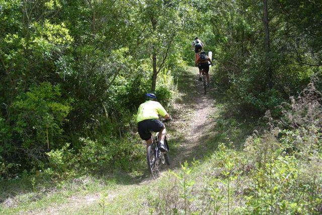 Two mountain bikers riding along a narrow dirt trail surrounded by lush greenery in a forested area. One cyclist is wearing a bright yellow shirt and a helmet, while the other is farther ahead. Sunlight filters through the trees, illuminating the path. Balm Boyette Scrub Preserve mountain bike trail.