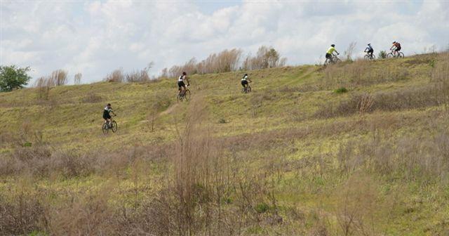 A group of mountain bikers navigating a grassy hillside on an overcast day. The scene features several cyclists riding in different directions, with tall grass and sparse vegetation surrounding them. Balm Boyette Scrub Preserve mountain bike trail.
