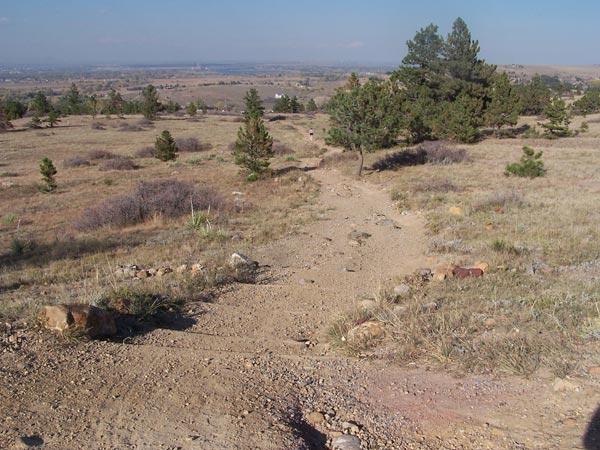 A dirt path winding through a grassy landscape with patches of shrubbery and scattered rocks, leading towards a distant view of rolling hills and blue sky. Small pine trees are visible along the path, adding to the natural scenery. Marshall Road Open Spaces mountain bike trail.