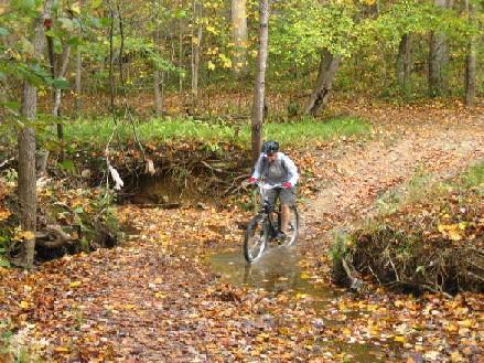 A person riding a mountain bike through a narrow stream in a forest, surrounded by colorful autumn leaves on the ground and trees in the background. Colvin Run Trail mountain bike trail.