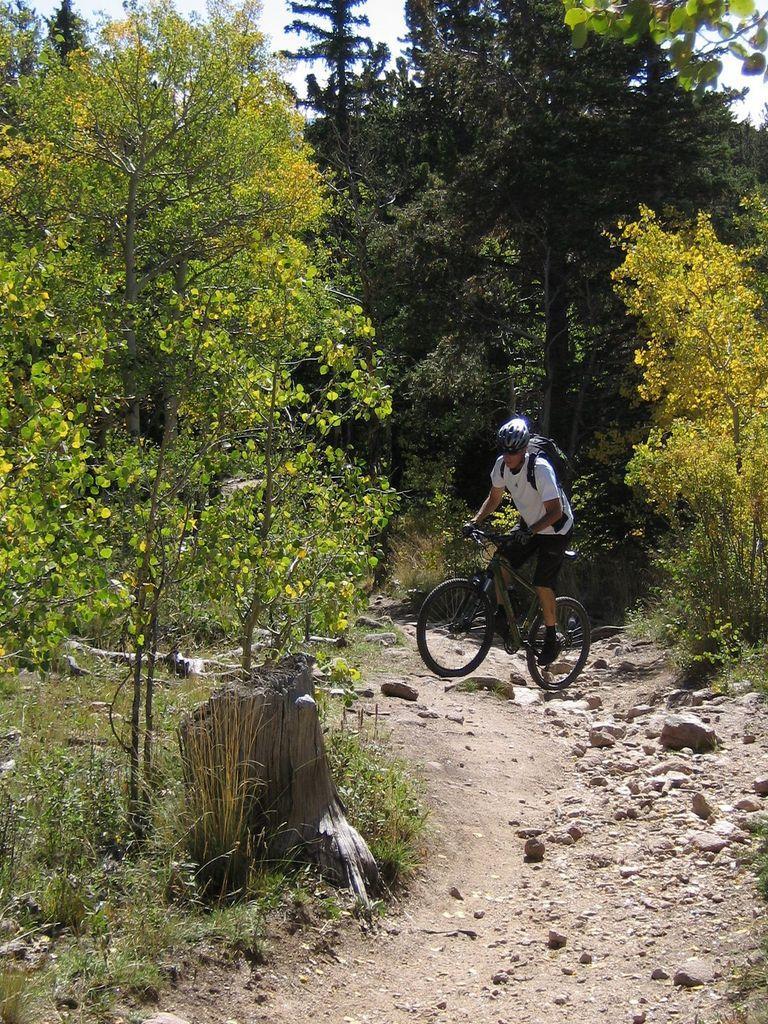 A mountain biker navigating a rocky trail surrounded by green and yellow foliage in a forested area. Colorado Trail: Kenosha Pass To Breckenridge mountain bike trail.