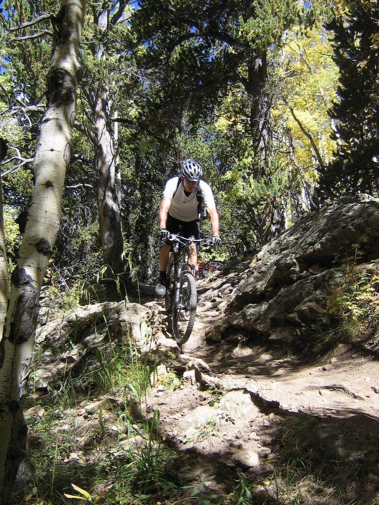 A mountain biker navigating a rocky trail surrounded by tall trees and dappled sunlight, showcasing an adventurous outdoor scene. Colorado Trail: Kenosha Pass To Breckenridge mountain bike trail.