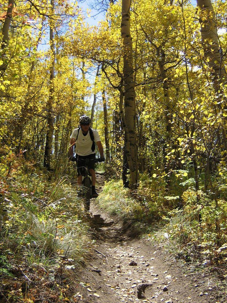 A mountain biker riding along a dirt trail through a forest filled with vibrant autumn foliage, including golden and yellow leaves. The sun filters through the trees, creating a warm and inviting atmosphere. Colorado Trail: Kenosha Pass To Breckenridge mountain bike trail.