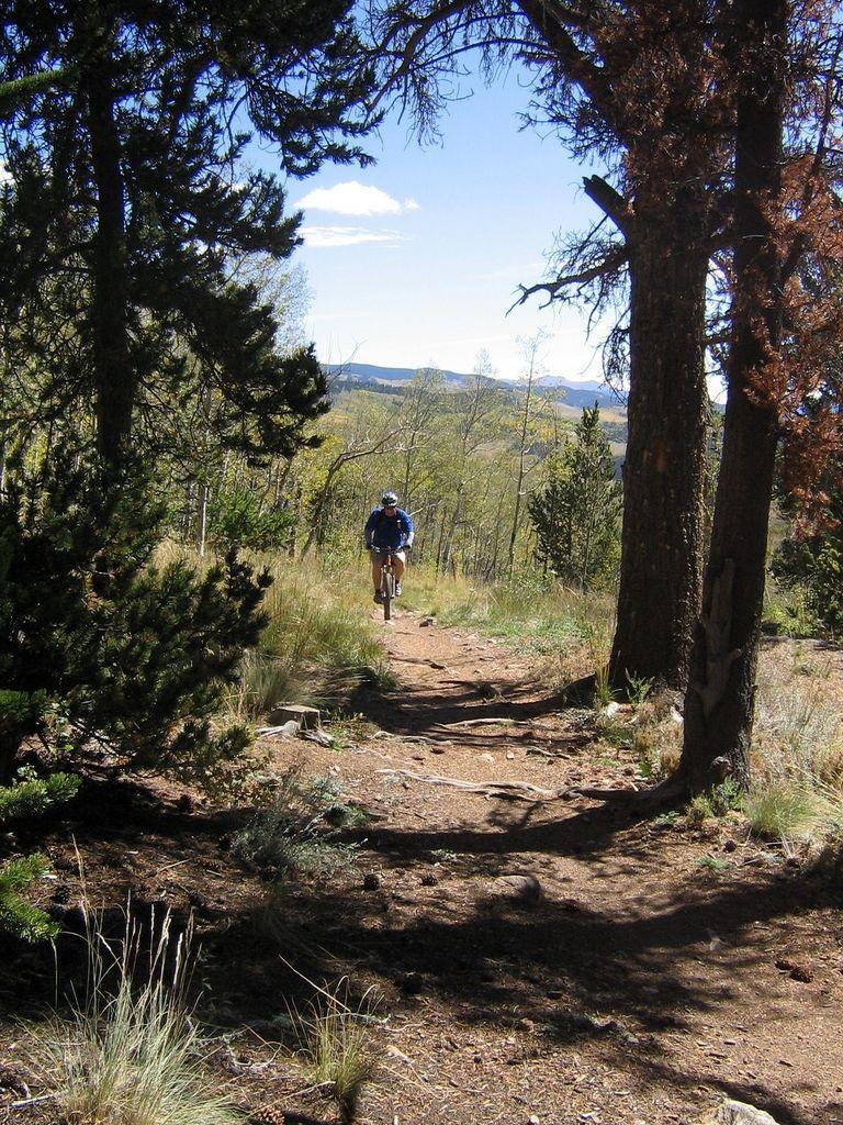 A person hiking along a dirt trail surrounded by tall trees and dense greenery, with a clear blue sky in the background. The path winds through a forested area, showcasing the natural beauty of the landscape. Colorado Trail: Kenosha Pass To Breckenridge mountain bike trail.