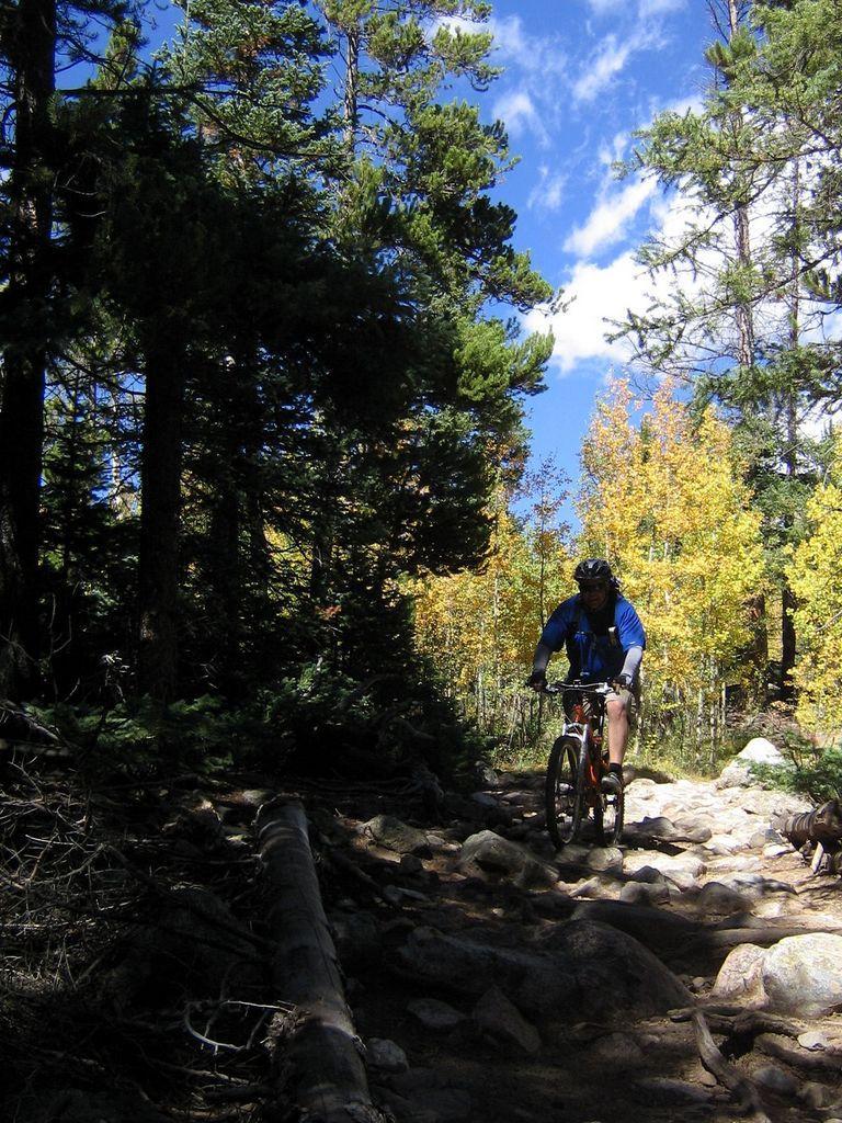 A mountain biker riding along a rocky trail surrounded by tall trees and autumn foliage, under a blue sky with a few clouds. Colorado Trail: Kenosha Pass To Breckenridge mountain bike trail.