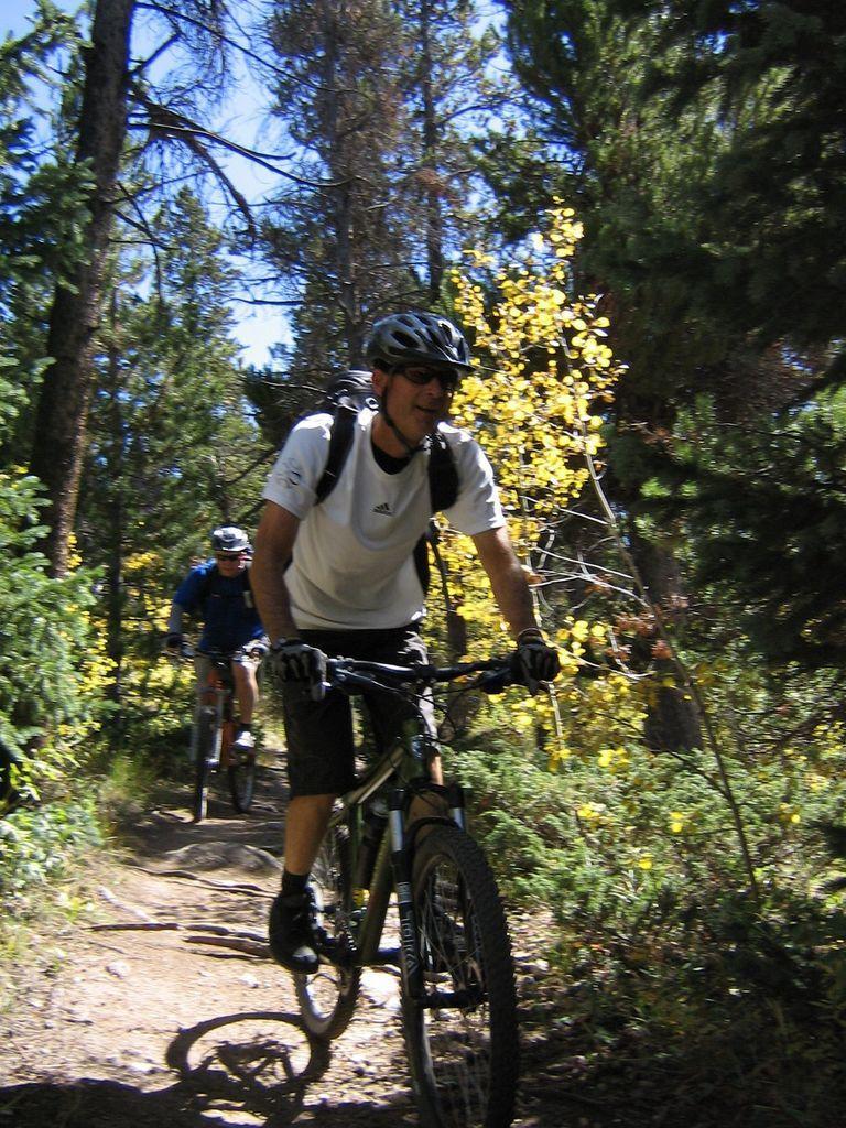 Two mountain bikers navigating a narrow dirt trail surrounded by greenery and autumn foliage. One rider is in the foreground wearing a white shirt and helmet, smiling as he rides, while the other biker follows closely behind. Sunlight filters through the trees, illuminating the path and the vibrant yellow leaves. Colorado Trail: Kenosha Pass To Breckenridge mountain bike trail.