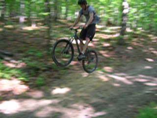 A person wearing a helmet is performing a jump on a mountain bike in a wooded area with greenery all around. The bike is in mid-air, showing motion over a dirt trail marked by sunlight filtering through the trees. Colvin Run Trail mountain bike trail.