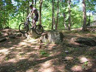 A person riding a mountain bike is jumping off a large rock in a wooded area. The ground is covered with leaves and scattered rocks, surrounded by trees and dappled sunlight. Colvin Run Trail mountain bike trail.