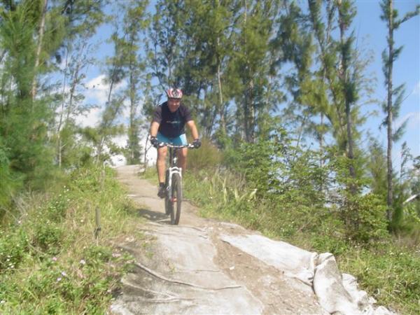 A mountain biker riding downhill on a trail surrounded by greenery and tall trees under a blue sky. Amelia Earhart Park mountain bike trail.