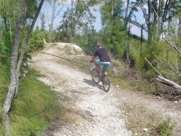A person riding a mountain bike on a gravel trail surrounded by greenery and trees under a blue sky. The trail winds through a natural landscape with some overgrown areas and a small rise ahead. Amelia Earhart Park mountain bike trail.