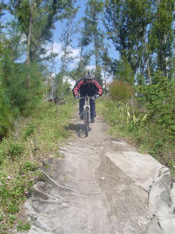 A person riding a mountain bike down a dirt path surrounded by trees and greenery on a bright, partly cloudy day. Amelia Earhart Park mountain bike trail.