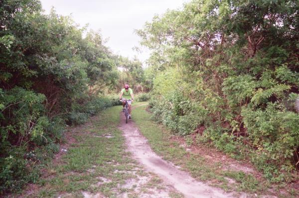 A person riding a bicycle on a dirt path surrounded by dense greenery and shrubs, set against a cloudy sky. Amelia Earhart Park mountain bike trail.