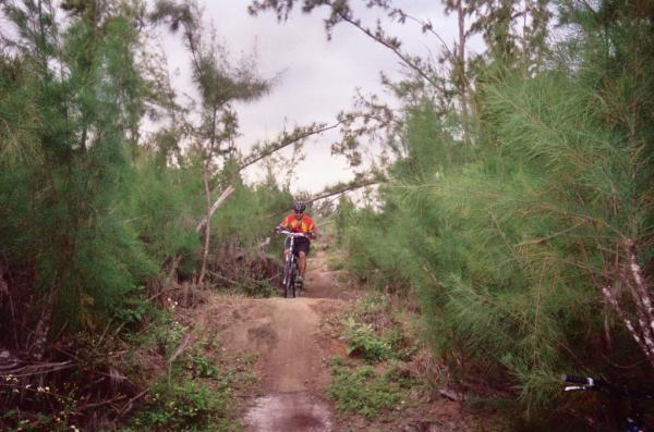 A mountain biker navigating a dirt trail surrounded by lush green vegetation and trees, under overcast skies. Amelia Earhart Park mountain bike trail.