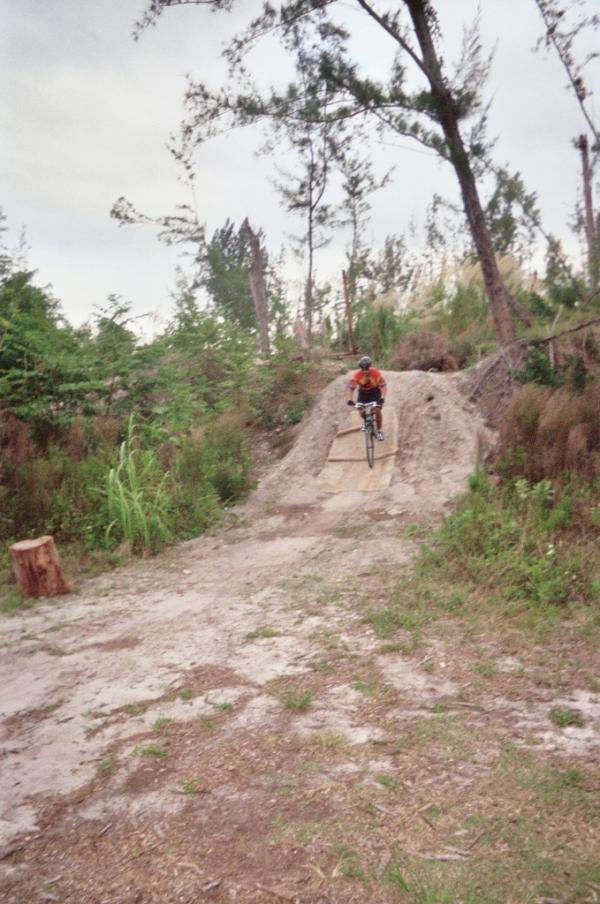 A mountain biker wearing a helmet and orange shirt riding down a dirt ramp in a forested area, surrounded by green trees and foliage. Amelia Earhart Park mountain bike trail.