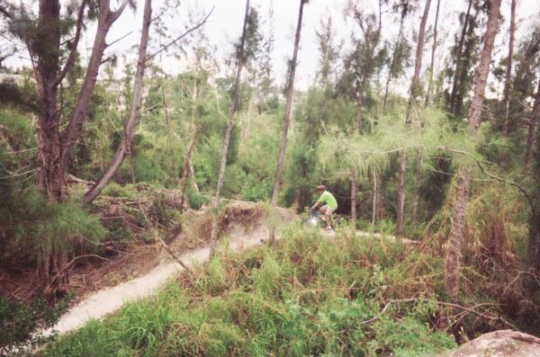A cyclist riding along a winding dirt trail surrounded by tall trees and dense greenery. The bike path is narrow and curves through the natural landscape, emphasizing the outdoor adventure atmosphere. Amelia Earhart Park mountain bike trail.