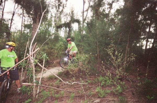 Two mountain bikers navigate a wooded trail. One rider, wearing a green shirt and red helmet, is climbing a small incline, while the other, in a yellow helmet and green shirt, observes nearby. The scene is surrounded by tall trees and lush vegetation. Amelia Earhart Park mountain bike trail.