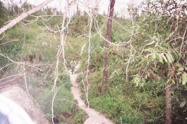 Mountain biker on a narrow trail surrounded by lush greenery and trees, with a rocky edge visible in the foreground. Amelia Earhart Park mountain bike trail.