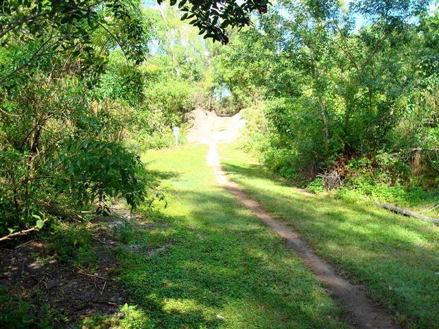 A lush, green pathway surrounded by dense foliage, leading through a tranquil natural setting. The trail is flanked by trees and vegetation, with sunlight filtering through the leaves, creating a serene atmosphere. In the background, a gentle elevation is visible, hinting at a small hill or mound. Amelia Earhart Park mountain bike trail.