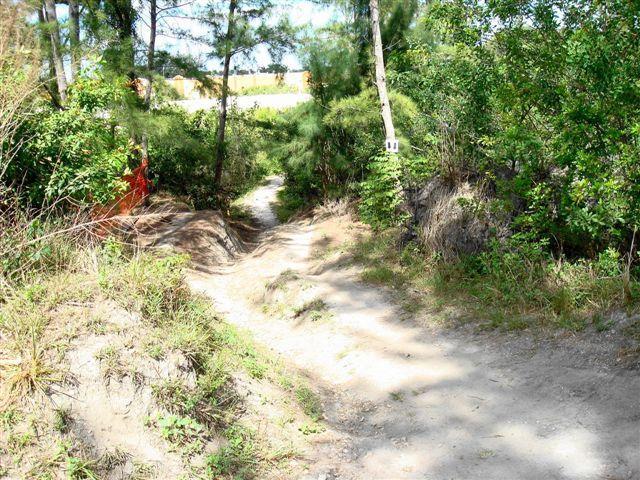 A dirt path that forks in two directions, surrounded by greenery and trees. The left path is slightly obscured by bushes, while the right leads through a clearer area. An orange safety fence is visible on the left side, indicating possible construction or restricted access. The scene is bright and sunlit, suggesting a warm day. Amelia Earhart Park mountain bike trail.