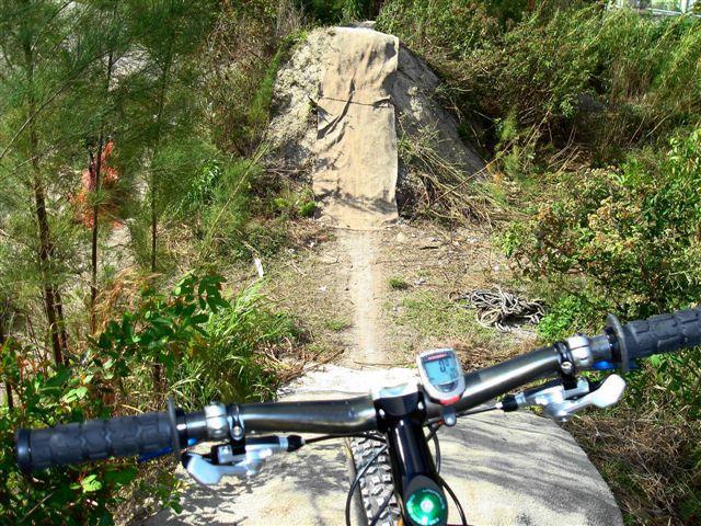 A mountain bike is positioned in front of a dirt ramp leading down a narrow trail surrounded by lush greenery. The handlebars are visible, and a speedometer is mounted on the front. The ramp is made of compacted dirt and is framed by bushes and trees, indicating a natural outdoor setting ideal for biking. Amelia Earhart Park mountain bike trail.