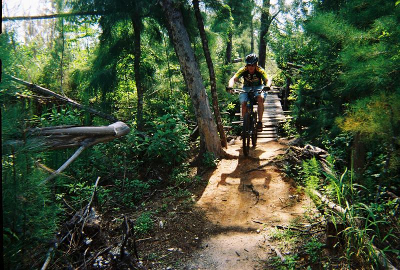 A mountain biker riding over a wooden bridge on a trail surrounded by lush green trees and vegetation. Sunlight filters through the foliage, casting shadows on the dirt path. Amelia Earhart Park mountain bike trail.
