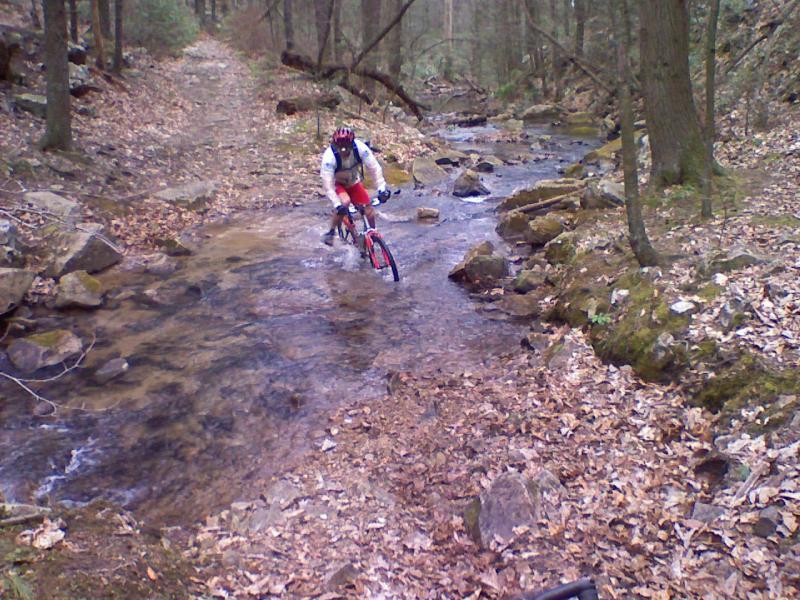 A cyclist rides through a shallow stream on a wooded trail, surrounded by rocks and fallen leaves, in a lush forest setting. Elizabeth Furnace mountain bike trail.