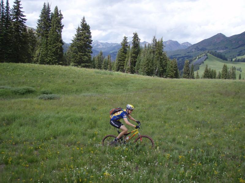 A mountain biker rides through a lush, green meadow surrounded by tall pine trees and distant mountains under a partly cloudy sky. Trail 401 mountain bike trail.
