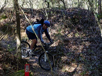 A mountain biker navigating a dirt trail through a wooded area, wearing a helmet and blue attire, with leaves and branches surrounding the path. Santos mountain bike trail.