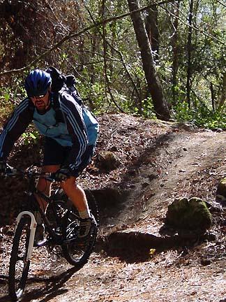 A mountain biker riding on a dirt trail surrounded by trees, wearing a blue helmet and a light blue jersey, navigating a bend in the path. Sunlight filters through the foliage, creating a natural ambiance. Santos mountain bike trail.