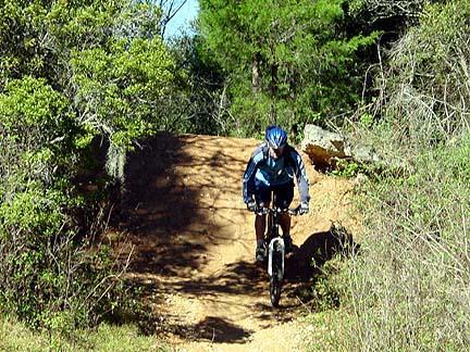 A mountain biker wearing a blue helmet and jacket rides along a dirt trail surrounded by greenery, including bushes and trees. The terrain is slightly elevated, showcasing the cyclist in motion on a sunny day. Santos mountain bike trail.