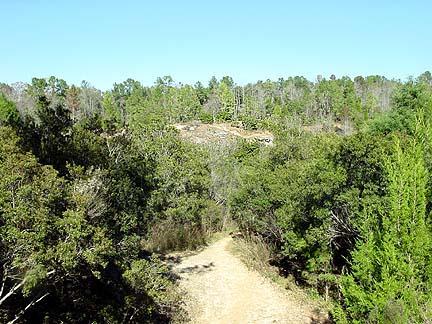 A scenic view of a wooded area featuring a winding dirt path leading through lush greenery, with a rocky outcrop visible in the distance under a clear blue sky. Santos mountain bike trail.