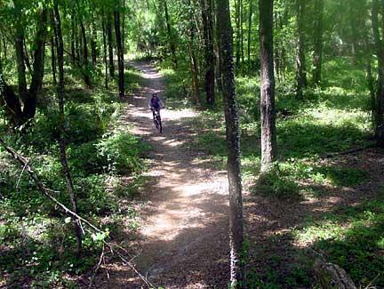 A person riding a bicycle down a dirt path surrounded by lush green trees in a forested area. Sunlight filters through the leaves, creating dappled light on the ground. Santos mountain bike trail.