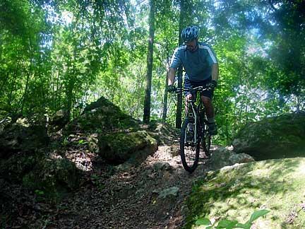 A person riding a mountain bike down a rocky trail surrounded by dense greenery and trees. The cyclist wears a helmet and sports attire, navigating the uneven terrain. Sunlight filters through the trees, highlighting the natural setting. Santos mountain bike trail.