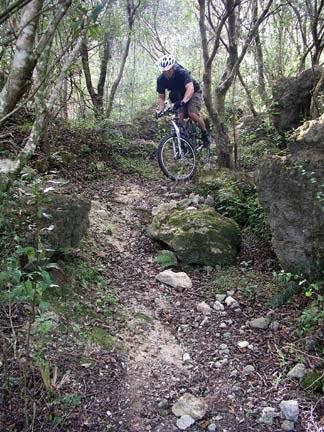 A mountain biker navigating a rocky and uneven trail through a dense forest, surrounded by trees and boulders. The biker is wearing a helmet and is mid-ride, demonstrating dynamic movement on the challenging terrain. Santos mountain bike trail.