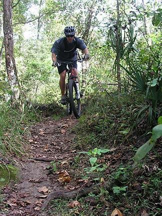 A person riding a mountain bike on a narrow, dirt trail surrounded by green vegetation and trees. The cyclist is leaning forward, showcasing an active riding position, while the trail features roots and scattered leaves. Santos mountain bike trail.
