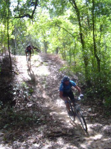 Two mountain bikers navigating a dirt trail through a lush, green forest. One rider is closer to the foreground, leaning into a turn, while the other is farther up the trail, ascending a slope. Sunlight filters through the trees, casting dappled shadows on the ground. Santos mountain bike trail.