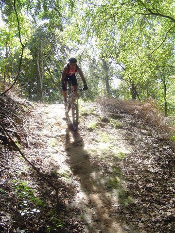 A mountain biker navigates a sunny, wooded trail, riding up a steep, leaf-covered incline surrounded by green trees and foliage. Santos mountain bike trail.