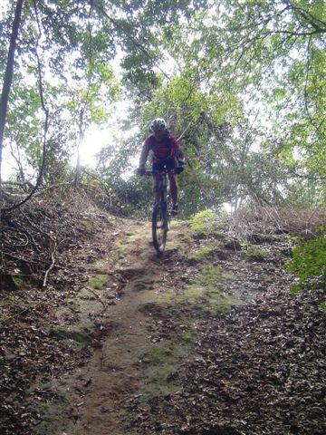 A mountain biker navigating down a steep, wooded trail surrounded by greenery, with sunlight filtering through the trees. Santos mountain bike trail.