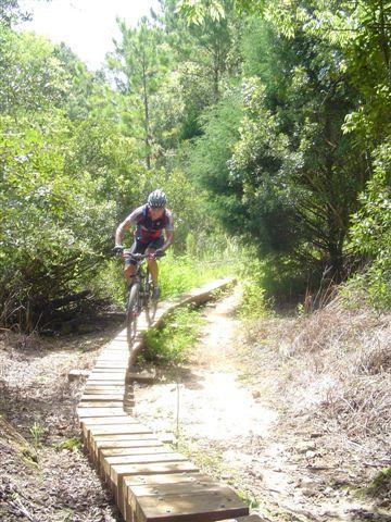 A mountain biker navigating a narrow wooden trail surrounded by lush greenery and trees. Sunlight filters through the foliage, creating a vibrant outdoor setting. Santos mountain bike trail.