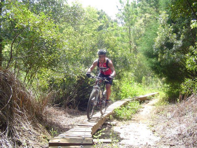 A mountain biker navigating a wooden bridge along a trail, surrounded by dense greenery. The rider is wearing a helmet and a red sleeveless jersey, focused on maintaining balance while biking through the natural landscape. Santos mountain bike trail.